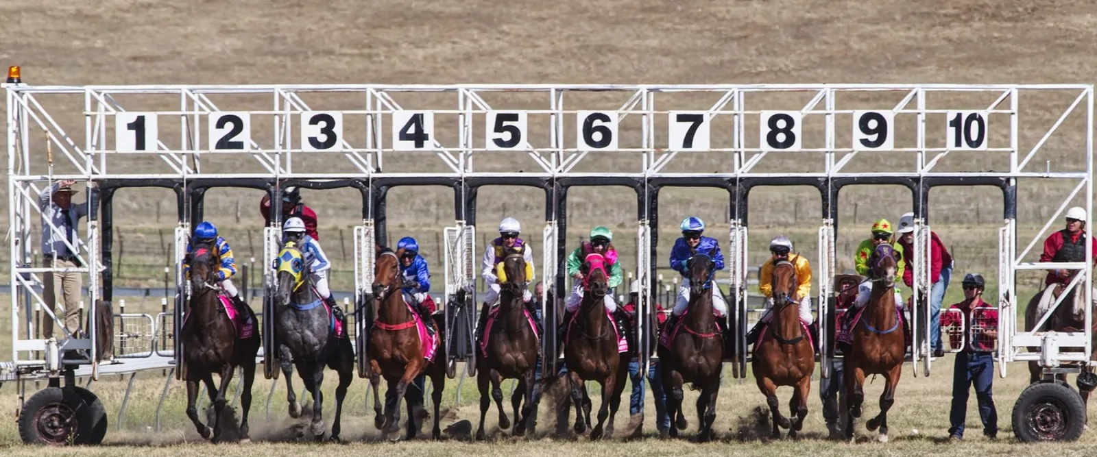 Horses and jockeys bursting out of the starting gate at a race